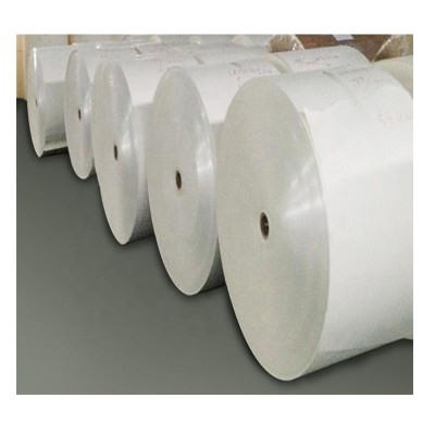 Virgin bamboo  pulp Single wall  PE Coated  paper in roll